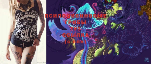 синтетический гашиш Лабытнанги