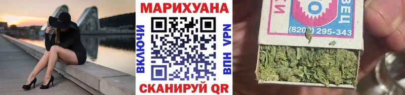 где купить наркоту  Шагонар  Канабис планчик 